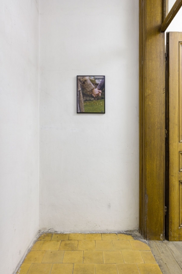 http://www.ermes-ermes.com/files/gimgs/th-121_16_Nicole Gravier_Photoromans, Mythes & Clichés_Exhibition view__web.jpg